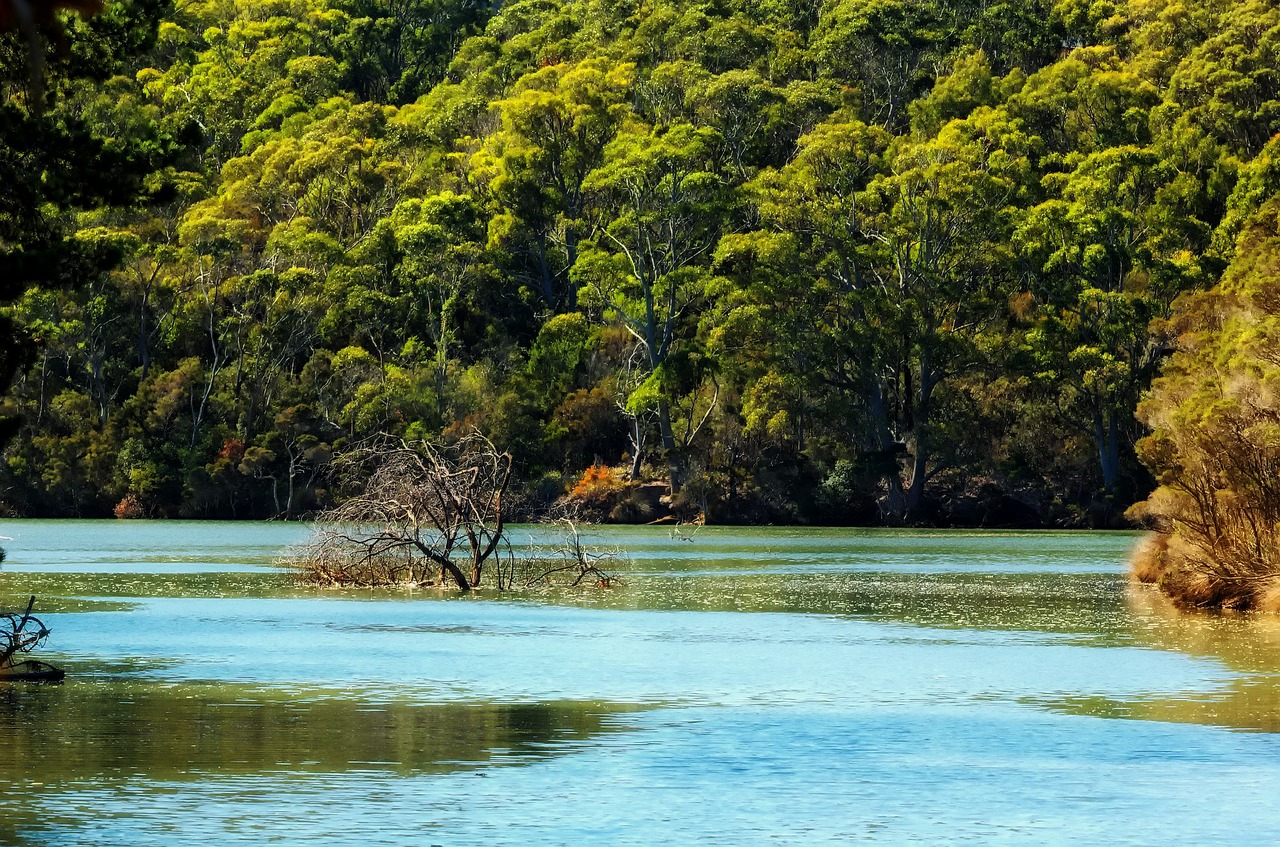 A Beautiful Spot to enjoy holiday